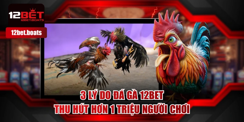 Đá Gà 12BET