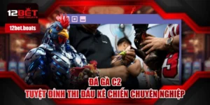Đá Gà C2