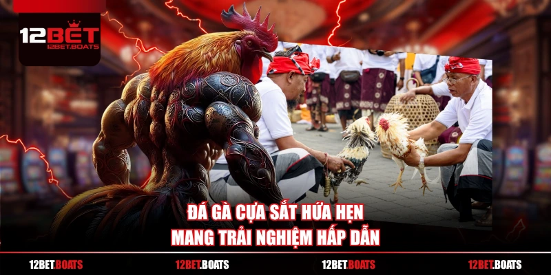 Đá gà cựa sắt hứa hẹn mang trải nghiệm hấp dẫn