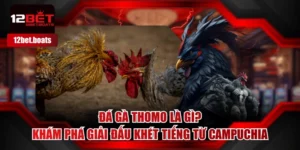 Đá Gà Thomo Là Gì