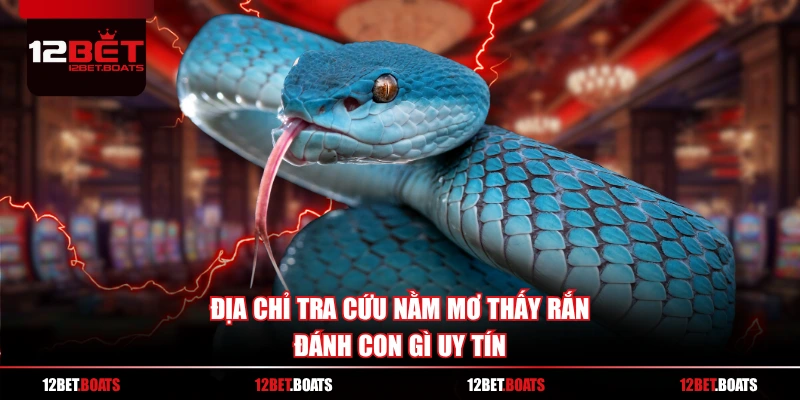 Địa chỉ tra cứu nằm mơ thấy rắn đánh con gì uy tín