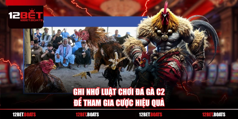 Ghi nhớ luật chơi đá gà C2 để tham gia cược hiệu quả