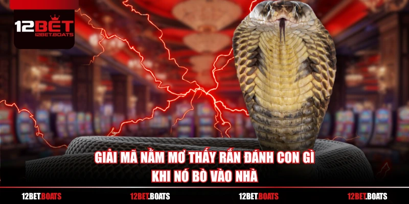 Giải mã nằm mơ thấy rắn đánh con gì khi nó bò vào nhà