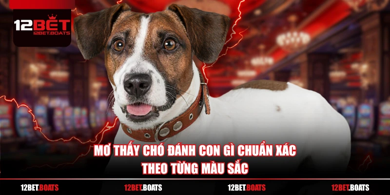 Mơ thấy chó đánh con gì chuẩn xác theo từng màu sắc
