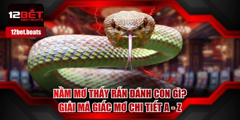 Nằm Mơ Thấy Rắn Đánh Con Gì