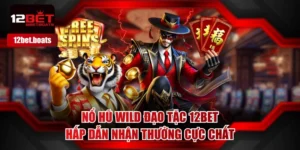Nổ Hũ Wild Đạo Tặc 12BET