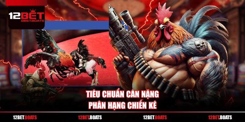 Tiêu chuẩn cân nặng, phân hạng chiến kê